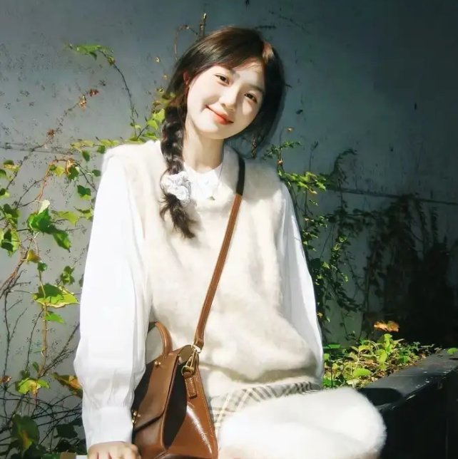 OSS117之开罗谍影